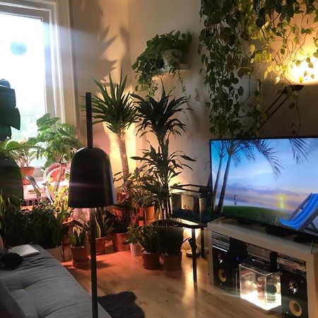 Urban Jungle Oasis In Queens! Leilighet New York Eksteriør bilde