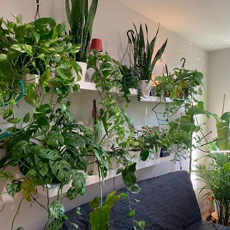 Urban Jungle Oasis In Queens! Leilighet New York Eksteriør bilde