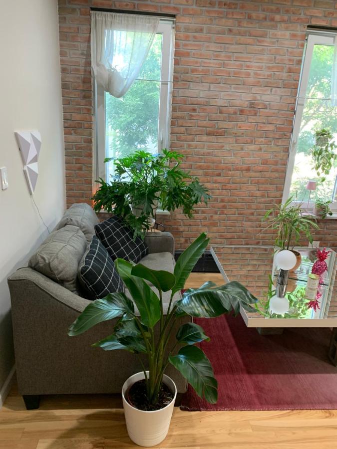 Urban Jungle Oasis In Queens! Leilighet New York Eksteriør bilde