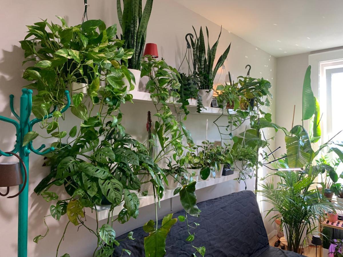 Urban Jungle Oasis In Queens! Leilighet New York Eksteriør bilde