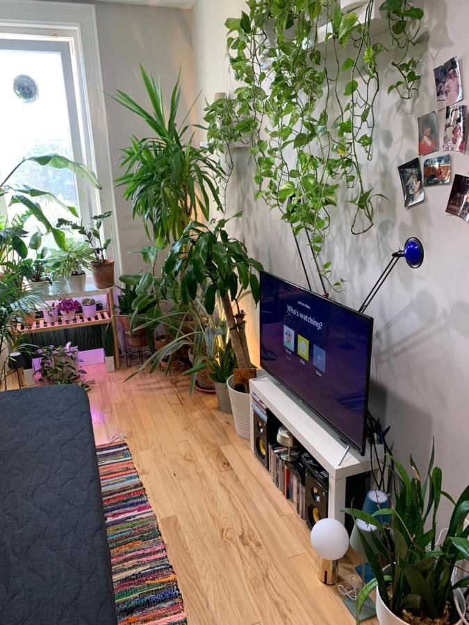 Urban Jungle Oasis In Queens! Leilighet New York Eksteriør bilde